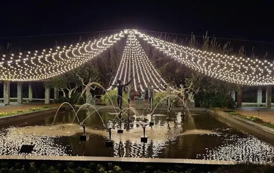 Plaza fountain covered by a canopy of string lights after dark.